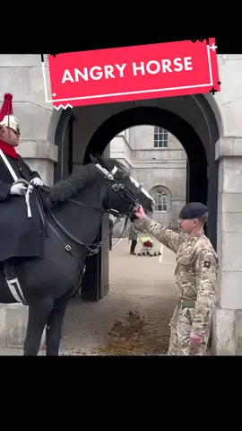 A Really UPSET ANGRY 😡 HORSE 😤  #foryou #horseguardsparade #king #guards #foryoupage #foryourpage #viral #trending #uk #London #horse #horseriding #animals 