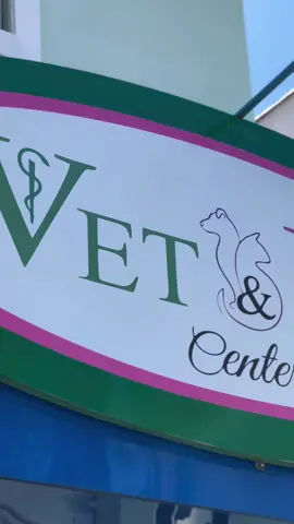 Produção de vídeo, com foco em midias sociais, feita para o PetShop Vet & Per Center 🐾 #petshop #banhoetosa #pets #videomaker #reelsinstagram 