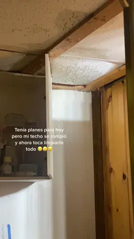Diosito te juro que no soy de tus mejores guerreros, dame break porfis #humor 