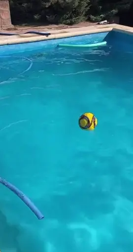 Van Persie😂⚽️ #freekickvids #fyp #tiktok #football #foryou #pari #trending #futbol #recommend #Soccer #swimmingpool #swim #water #funny #fun #memes #meme #waterfootball #fy 