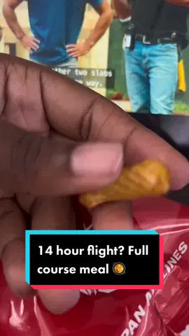What I ate on my 14 hour flight to Japan. 🥘 🍱 🍲  #SunflowerInJapan #2JapanAndB3yond #fypシ #fyp #foryoupage #jamaicantiktok #jamaica #jamaicatiktok #traveltiktok #vlogtok #JapanTikTok #JamaicanInJapan #viral #trending #CapCut