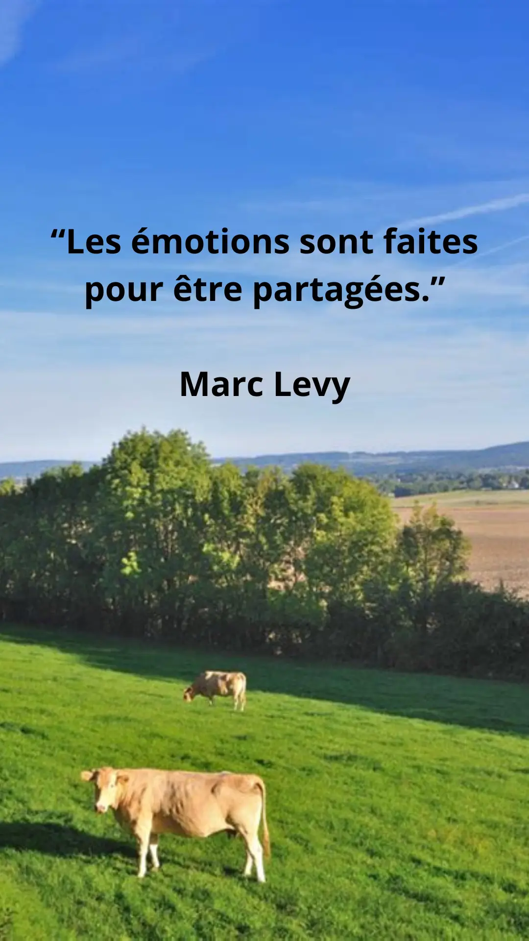 #citation #citations #paysage #citation_paysage #voyage #citationmotivante #citationdujour #image #videopaysage #vie #vidaloca #paysagemagnifique #fyp