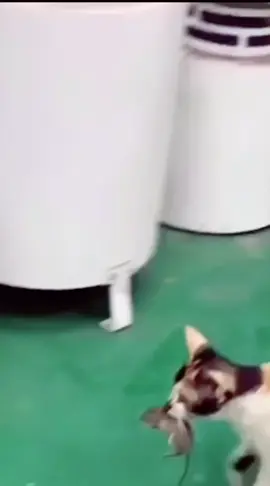 🤣🤣🤣
