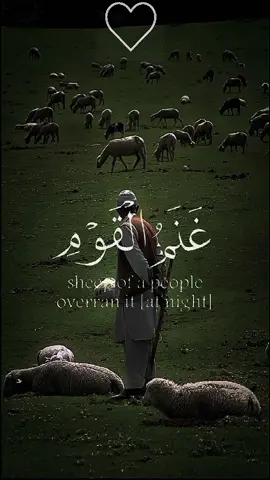 #القرآن_الكريم #قرآن_كريم #القران_الكريم #قرآن #راحة_نفسية #القرآن_الكريم_راحه_سمعك_القرآن💙🎧 #quran #القرآن_راحة_نفسية 