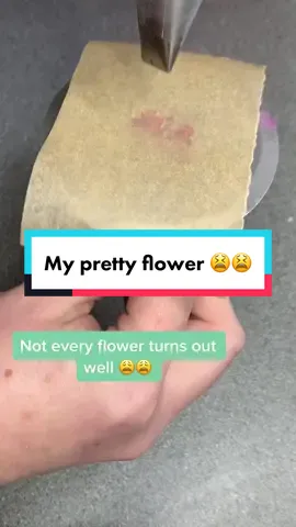 Piping this flower was going well until….. Sometimes not everything works out 🤦🏼‍♀️ #cakefail #cake #pipingbuttercreamflowers #pipingbuttercreamwithme #pipingfail #cakestuff #debbiebakes #cakedecorator #oops #ohnonononoo #buttercreamflower 
