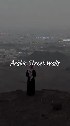 Membalas @user26886168  Part 1 of Arabic street walls ⚠️fake situations⚠️ #explore #arabicstreetwalls #arabicpoetry #arabicpoem #quotesarabic #syairarab #اكسبلور #اكسبلورر #الشاعر #قصائد 