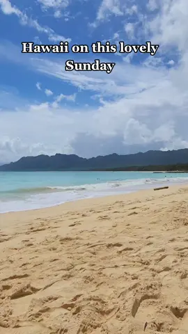 ♡ Soaking this sun a little extra today 🔆 #islandlife #foryou #foryoupage #oahuhawaii #beachvibes #bellowsbeach #hawaiitiktok #hawaii #beachday 