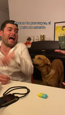 No se lo veía venir 😂😂 #humor #perro 