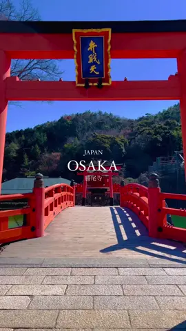 Osaka, Japan cc@sr _ film. 0425 O forō shite kudasai  #japan#visitjapan#osaka#osakajapan#osakatravel#osakatrip#katsuoji#temple 
