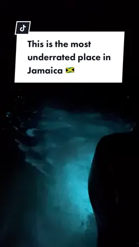 Visit Luminous lagoon #visitjamaica #jamaica #traveljamaica  #riureggae #riumontegobay #shoteljamaica #lounge2727 #secretsstjames #secretswildorchid #oceanedenbay #oceancoralspring #excellenceoysterbay #hiltonrosehall #grandpalladiumjamaica #grandpalladiumladyhamilton #royaltonwhitesands #royaltonbluewaterjamaica #jewelgrandejamaica #iberostargrandrosehall #dejaresort #seagardenbeachresort #breathlessresortjamaica #royaldecameroncornwallbeach #luminouslagoon #jamaicatiktok #sandalsmontegobay 