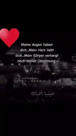 #deutscharabisch #übersetzte #fypシ #arbicmusik #arabischdeutsch #arabischelieder #arabictiktok #fy#fyp#fürdich#libanon