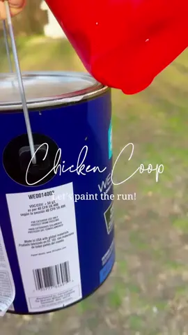 Of course I had to paint the ceiling of our chicken run AVIARY BLUE! 🤣💙 I’ve had so much fun designing this chicken coop and making it a lovely place for my chickens; and for us to visit with them!  It’s been a long road to get here and I’ve learned so much along the way. When I got to redesign our coop I knew I wanted something that was beautiful and functional — it HAD to be easy to clean! A walk-in chicken coop was a must. It didn’t have to be a big coop (it will house 10-12 chickens comfortably).  I just finished the last details and I’m getting ready for a coop tour! Would you like to see? Let me know in the comments! #chickencoop #diychickencoop #chickencoopplans #chickencoopsoftiktok  #chickencoopdesign #chickenkeeper #backyardchickens #happychickens 