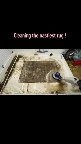 couldn't believe the colour of this rug ! #satisfying #asmr #carpetcleaning #fyp #foryoupage 