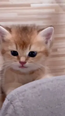 🥰