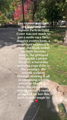 I hope this reaches the right audience that loves it as much as I do. & if it does whats your favorite little thing about it too? ❤️ #chicago #washingtonsqaurepark #goldcoast #thelittlethings 
