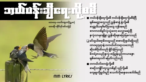 #ဘယ်ပန်ချီမှရေးလို့မမှီ #မိဘမေတ္တာ #polaychit7 #foryou #fyp #tiktokmyanmar #tiktokuni @htunlin017#tiktok2023 #2023 #myanmarsong #song @EI PHYU SIN#ရောက်ချင်တဲ့နေရာရောက်👌 #song #myanmar #thank4youdo 