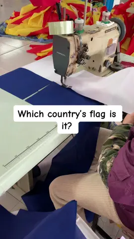 Which country’s flag is it?#flag #maosenflag #flagfactory #handmade #customflags 