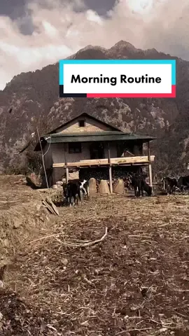 जेल्बाङ , रोल्पा - बिहानको  दिनचर्या | #morningroutine #rolpa #jelbang #gau #family  