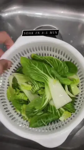 How do you wash your veggies before cooking? #veggy #washing #cleangreen #kosher #fypcanada🇨🇦 #ontario #mississauga #cleaningtips 