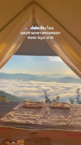 ที่พักเชียงใหม่บนดอย นอนท่ามกลางทะเลหมอก ดูดาว กินหมูกระทะ ชมพระอาทิตย์ขึ้น พิกัดจูเลี๊ยะแคมป์ ม่อนเงาะ #tiktokพาเที่ยว #tiktokพาเที่ยวทั่วไทย♥️🤟🇹🇭 #เชียงใหม่ #ม่อนเงาะ #จูเลี๊ยะแค้มป์ม่อนเงาะ #ที่พักเชียงใหม่ #ที่พักบนดอย #เที่ยวราคาถูก #ทะเลหมอก 