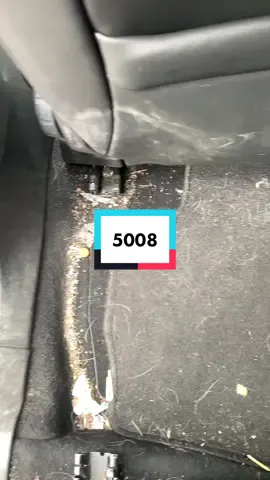 #nettoyageauto #viral #tiktokviral #asmr #satisfying #cars #cleaning #carcleaning #5008 