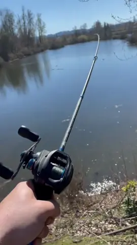 15lb largemouth bass pull so hard  #fyp #fishing #catchandrelease #fish #salmon #trout #steelhead #bass #largemouthbass #smallmouthbass #bluegill #bluecollar #foryou #foryoupage #fypシ #Lifestyle #education #trend #viral #trending #viralvideo #tiktok #reels #stlhd #stlhdgear #541fisherman 