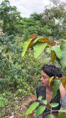 Did you know that? #ushikinggirl #ushiking #latina #usnature 
