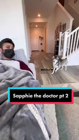 If Sapphie was your doctor part 2😂🐶 #smartdog #funnydog #dogs #doglover #pets 