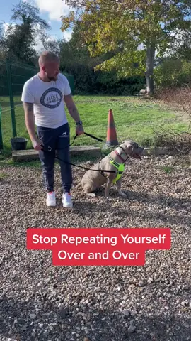 Stop Repeating Yourself #dogs #xlbully #fyp 