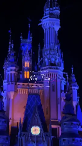 We waited 5 hours dor Happily Ever After and it was absolutely worth it. 🤍 #happilyeverafterfireworks #disneymom #disneyvlog #disneyadult #disneyworld #disney #disneyparks #disneytiktok #orlandoflorida #floridamom #orlandomoms #disneymomsoftiktok #sensoryfriendlydisney 