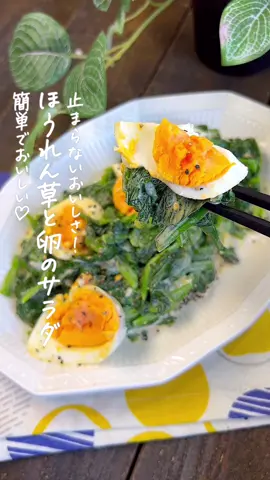 ほうれん草と卵のサラダ𓌉🥗𓇋 【365日時短料理】ほうれん草と卵のサラダ🥗♡ ⁡ ⁡ 止まらないおいしさ🤤♡ 簡単でおいしい‼️ ほうれん草と卵のサラダ𓌉🥗𓇋 あと1品足りないときにおすすめです❣️ ⁡ ⁡ 大人2人前 ⏰所要時間10分 ⁡ □ほうれん草200g □ゆで卵2個 Aマヨネーズ大さじ2 Aめんつゆ(2倍濃縮)大さじ1/2 A砂糖大さじ1/2 A塩コショウ適量 Aブラックペッパー適量 ⁡ 1 茎の部分を30秒茹でる。 全体をお湯の中に入れて30秒茹で 水にさらして水気を切り、4cm幅に切る。 ⁡ 2 ボウルに1・ゆで卵を入れて スプーンで卵を食べやすい大きさに切る。 Aを加えて和える。 ⁡ ⁡ ⁡ 投稿が良いと思ったらイイネお願いします︎👍🏻 ̖́- 作ってほしいものがあったらぜひコメントしてね💬 ⁡ ⁡ ##あぴほうれん草料理##あぴたまご料理このタグからほかのレシピも見れます🏷𓈒𓏸︎ ⁡ ⁡ ⁡ ⁡ ⁡ ⁡ ⁡ ##時短料理##時短レシピ##簡単ごはん##簡単料理レシピ ##ほうれん草レシピ##ほうれん草サラダ##たまごサラダ##副菜レシピ##作り置きおかず##作り置きレシピ ##つくおきレシピ##つくおきおかず##幼児食レシピ 
