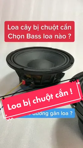 Loa bass 20, loa cây ở nhà bị rách, chuột cắn phải làm sao #bass20 #loabass20 