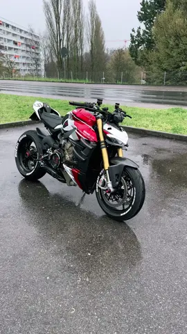 Termignoni sound ☺️ #termignoni #termignoniexhaust #ducativ4 #streetfighterv4 #exhaust #exhaustsound #motorcycle #luxurybikes 