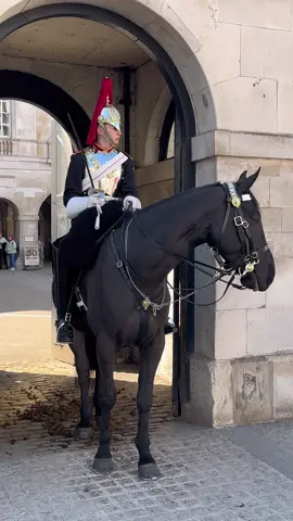 Armed Police Checks Horse and Kings Guard  #foryou #horseguardsparade #king #guards #foryoupage #foryourpage #viral #trending #uk #London #horse #horseriding #animals 