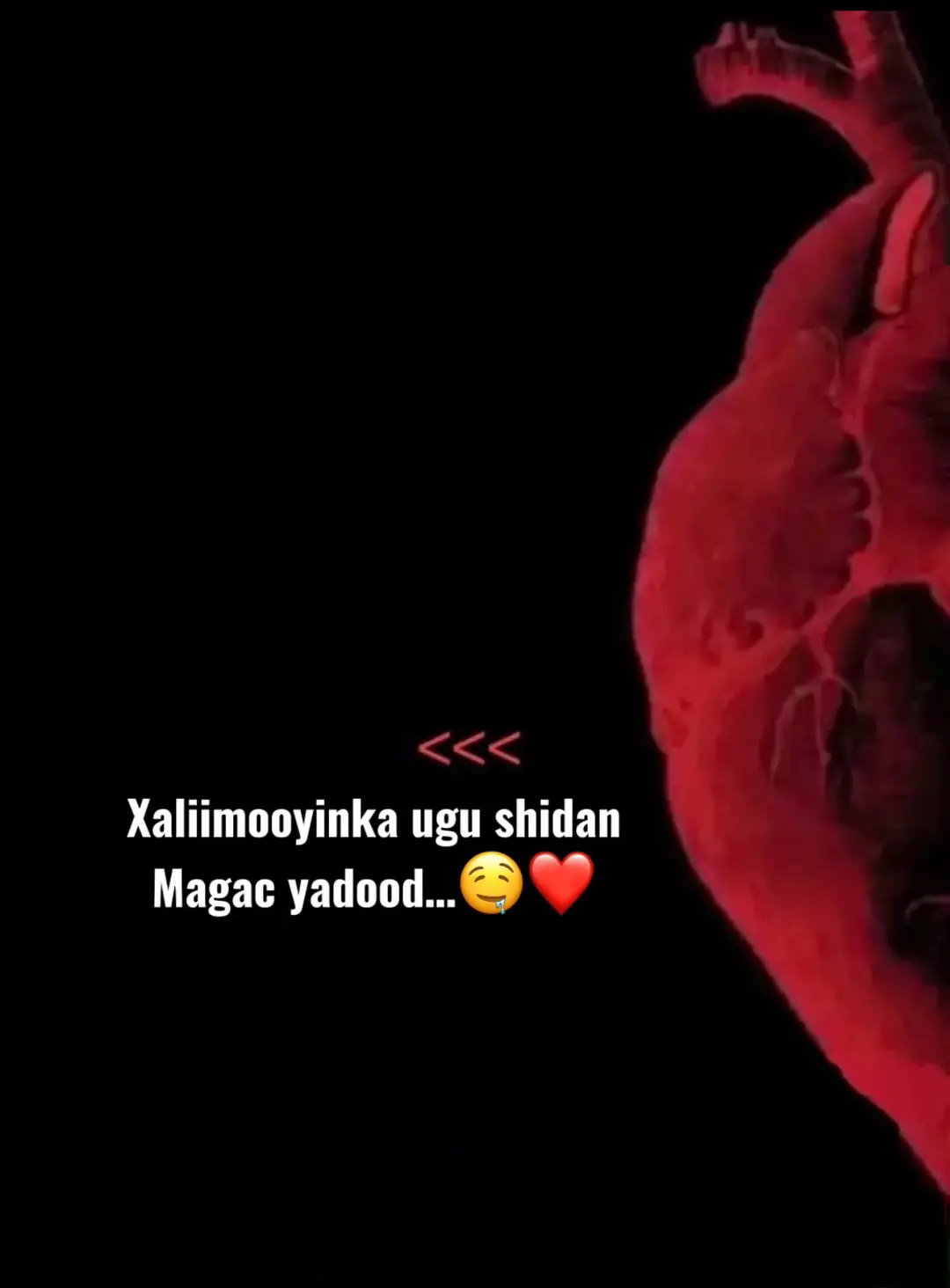 Magacaga maku jiraa🤤💞 #somalitiktok #foryoupage 