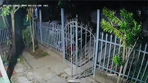 Dậy sớm đi rồi thành công🤣