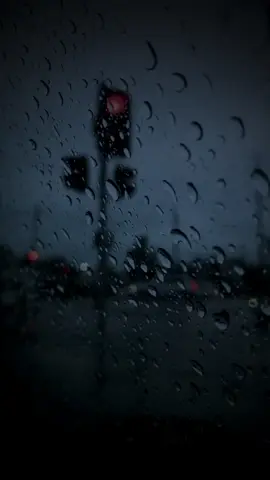 Maybe one day. . . . . . . #darkaesthetic #dark #vibes #mind #feels #ambient #sad #gloomy #bluehour #moody #fyp #foru #forupage #foryou #foryoupage #viral #viralvideo #trending #rain #grmnght 