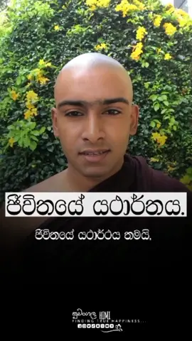 ජීවිතේ යථාර්තය 🌏😍☸️☺️🙏#smile #motivation #everyone #kavibana #monk #buddhism #buddhist #world #brokenheart #monk #bhuddist #යශෝදරාඋත්තමාවී #CapCut 
