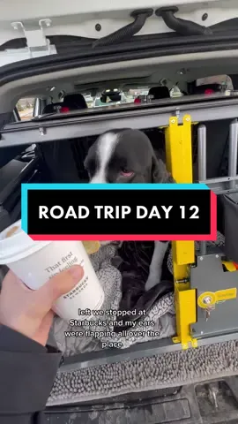 ROAD TRIP DAY 12 🚘 nebraska —> iowa @spotandtango unkibble - RUDDER50 harness - in my LT yellow leash - supplies amzn list @walkwildco leash/collar set @volvocarusa XC40 @yeti bowl - supplies amzn list #variocage car kennel @scooterscoffee  #nebraska #omaha #missinglake #iowa #tornadoalley #roadtrip #travelingwithdogs #hikingwithdogs #volvoxc40 #variocage #unkibble #unkibblefeddogs #yetidog #scooterscoffee #spanielsoftiktok 