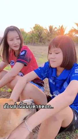 คันแม่นตายกะตาหลับแล้ว..@กิ๊ฟ คชาภรณ์ (ช่องสำรอง) #tiktokกิ๊ฟคชาภรณ์ #กิ๊ฟคชาภรณ์ 