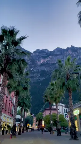 🌴  #italy #rivadelgarda #garda #lagodigarda #lakegarda #palm #mountains 