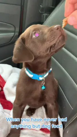 It’s first vet day so you try and reward him lol 