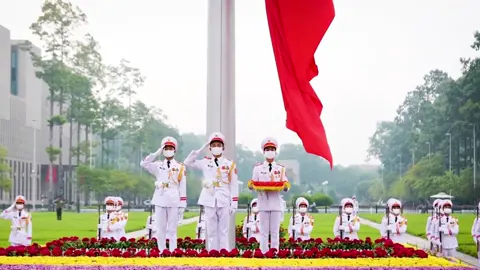 Chào mừng ngày non sông quy về một mối #xunghuong #bodoi #bodoicuho #vietnam #llvt 