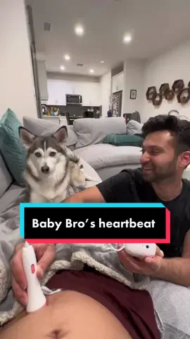 Sapphie hears her brother’s heartbeat for the first time🐶❤️ #smartdog #happydog #dogs #pregnancyjourney #heartbeat 