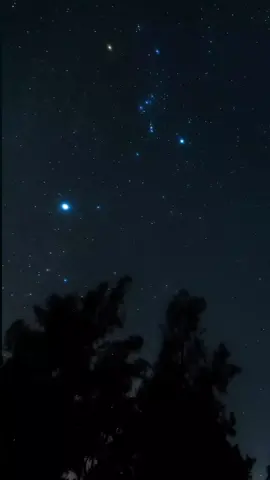 تعرفون اسم هذه النجوم؟ #تفكر #space #فضاء #الجوزاء 