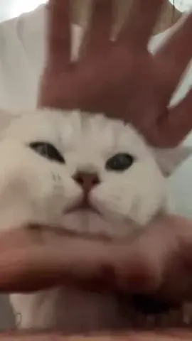 🥰