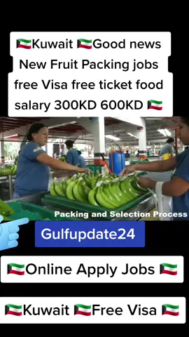🇰🇼Kuwait 🇰🇼Good news New Fruit Packing jobs free Visa free ticket food salary 300KD 600KD 🇰🇼 #capcut #kuwait #dxb #Sharjah #qatar #dubai #uaesafari #uaemallu #uaewaterfront #ksa #saudi #pakistan #d #c #uae_bd #dubai_dxb_uae #1million #2023 #🇰🇼 