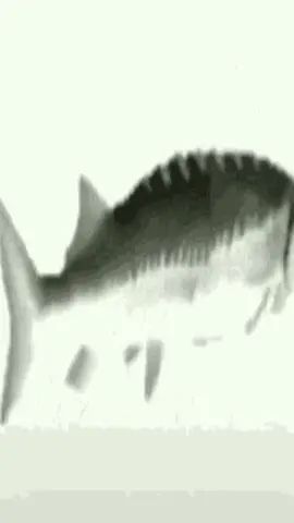 #funkytown #spinningfish #lowquality 