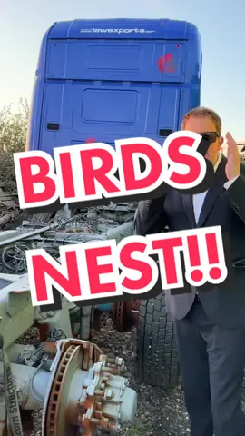 Birds Nest Stops Truck Build!! @G & CA LOMBARDO #fyp #hgvdriver #trucking #truckertim 