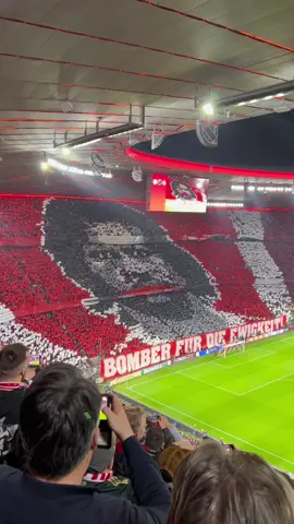 Bomber für die Ewigkeit - Choreo #choreography #choreo #bayernmunich #bayernmünchen #fcbayernmünchen #fcbayern #gerdmüller #gerdmuller #championsleague #bundesliga #footballchoreo 